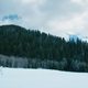 Wind River (Photo: Sundance)
